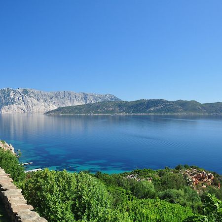 Villaggio Est Affittacamere San Teodoro  Exteriér fotografie